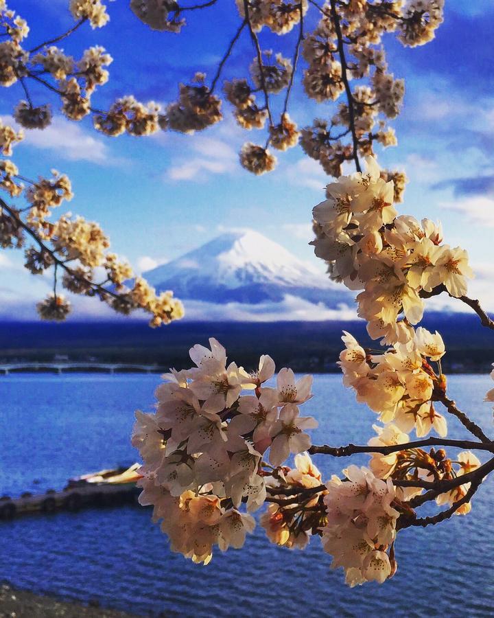 Cyokiya Lake Saiko Fudžikawagučiko Exteriér fotografie